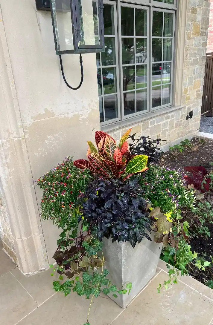 WhatsApp Image 2025-11-19 at 01.26.38 (1)@2x